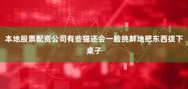 本地股票配资公司有些猫还会一脸挑衅地把东西拨下桌子