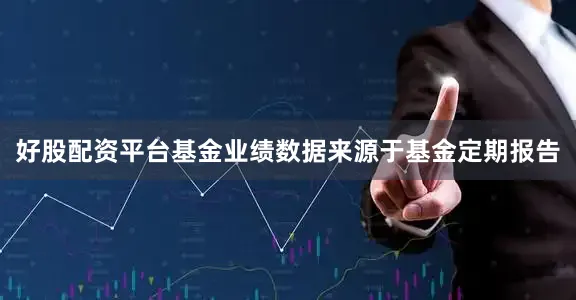 好股配资平台基金业绩数据来源于基金定期报告